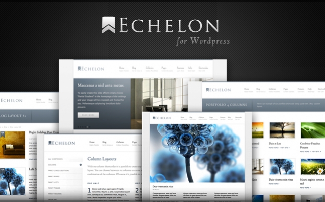 Echelon Wordpress Theme